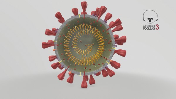3D section novel coronavirus virus model - TurboSquid 1537192