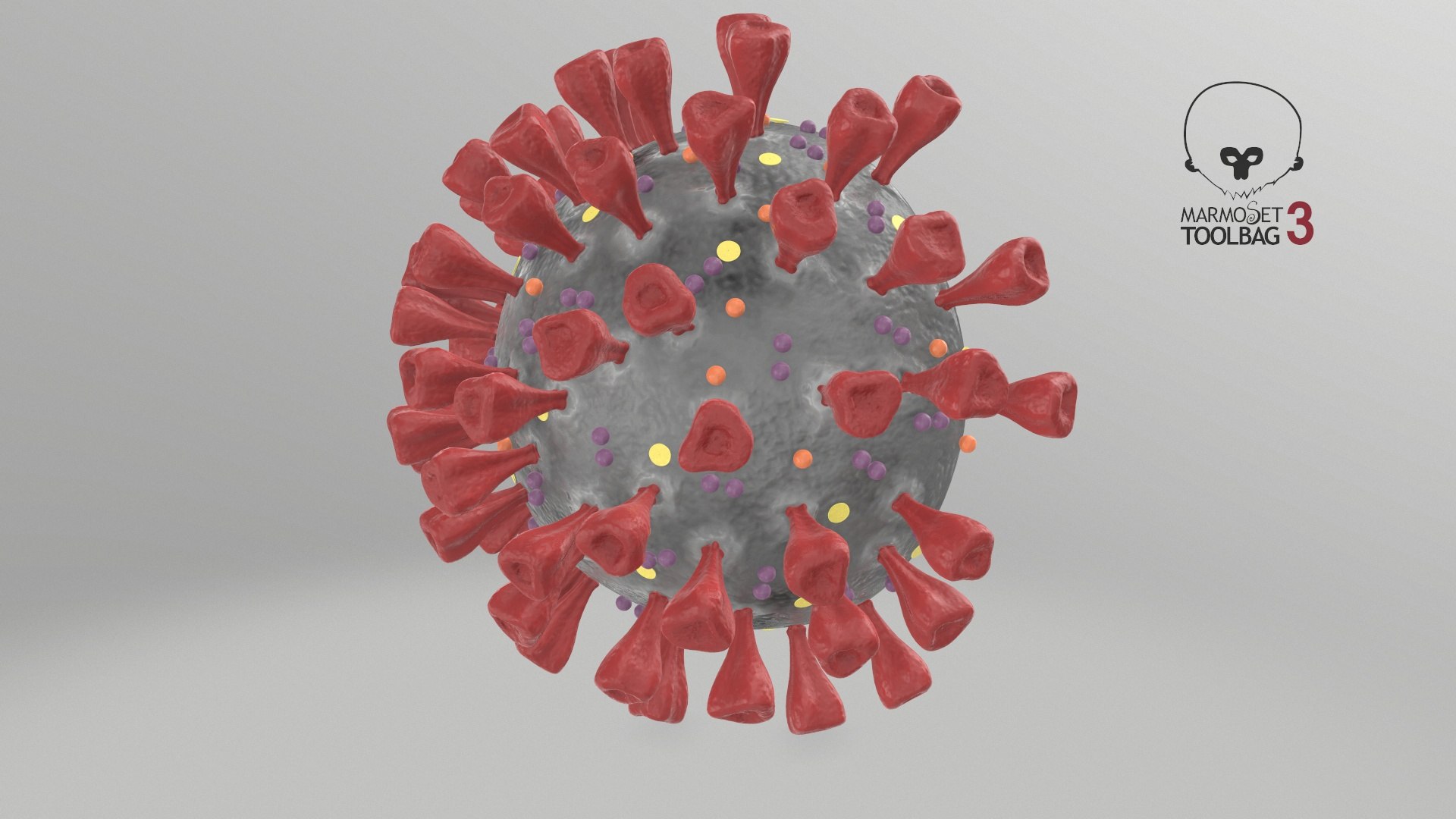 3D section novel coronavirus virus model https://p.turbosquid.com/ts-thumb/BA/sZAFm2/zniHLVRd/screenshot004/jpg/1586180687/1920x1080/fit_q87/aa45c21ac7e9f618fd624a14749db6a65d0e181b/screenshot004.jpg