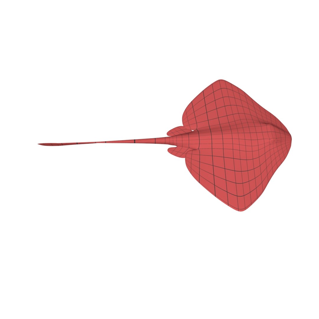 3d model base mesh stingray fish https://p.turbosquid.com/ts-thumb/BA/tlDsTC/5R7uiPL5/4/jpg/1489678058/1920x1080/fit_q87/a79d9984d313f1af92bddd4193902a63e559980c/4.jpg