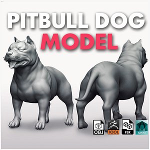 PitBull Dog 3D