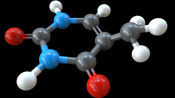 thymine nucleobase dna model