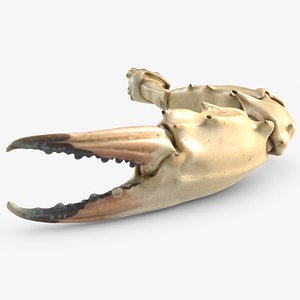 Crab Claw 2