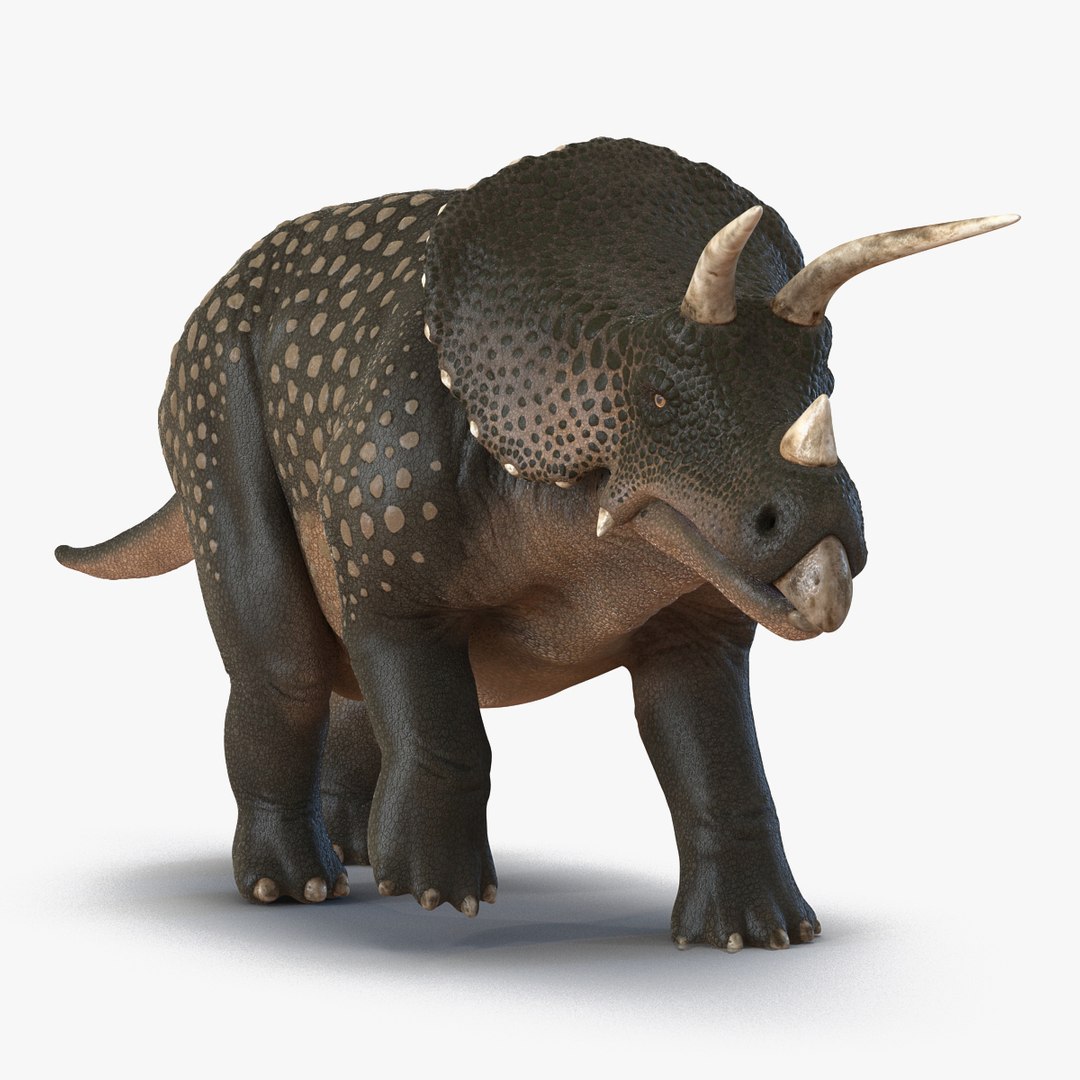 Triceratops Pose 3 3D Model 3D model preview