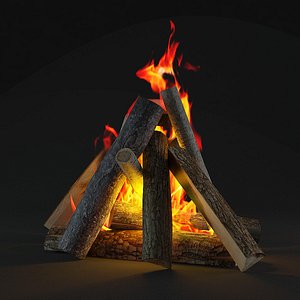 3D bonfire camp