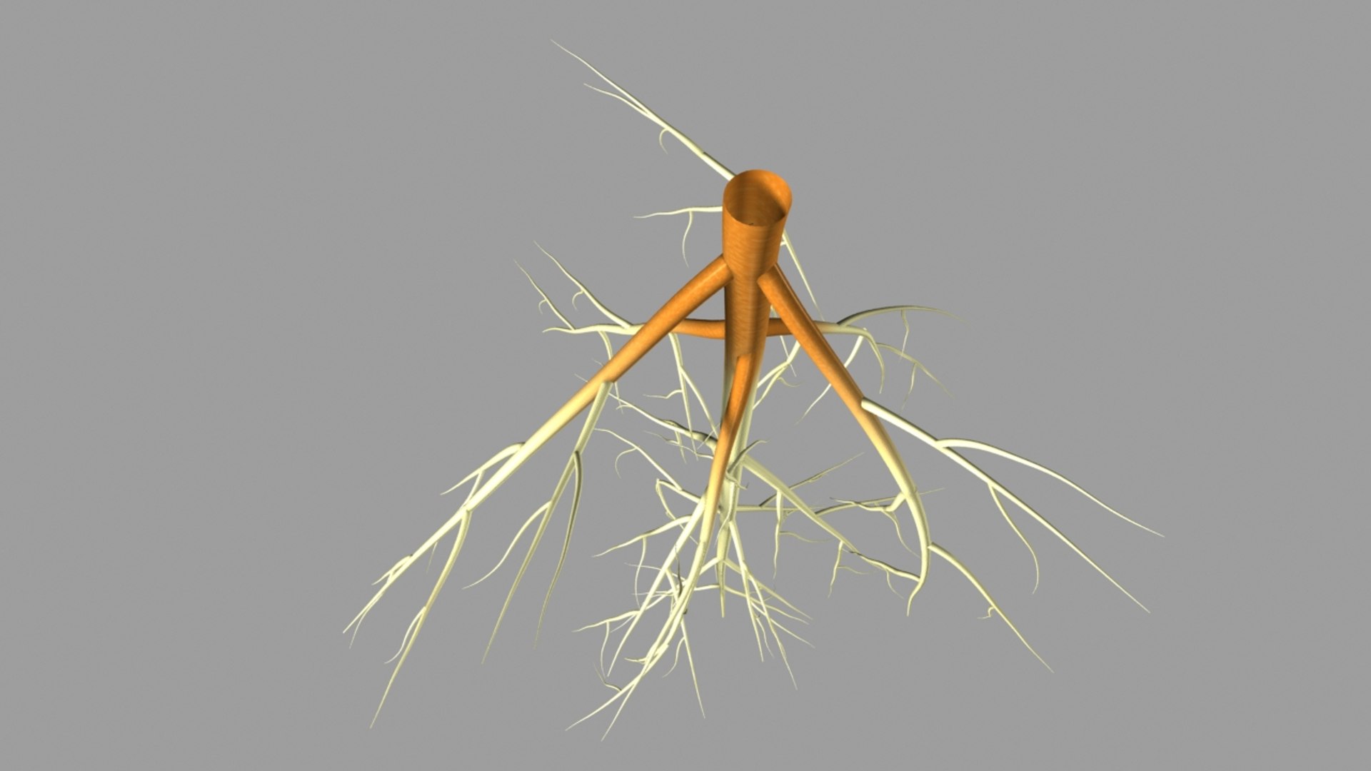 Obj Plant Root