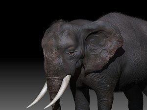3D elephant rig