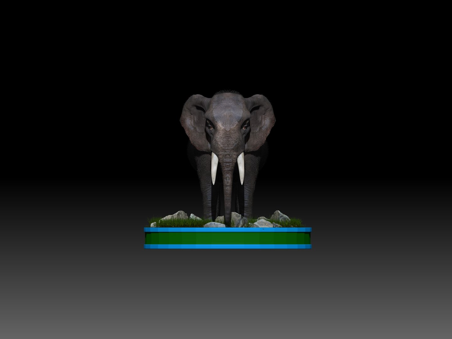 3D Elephant Rig - TurboSquid 1298964
