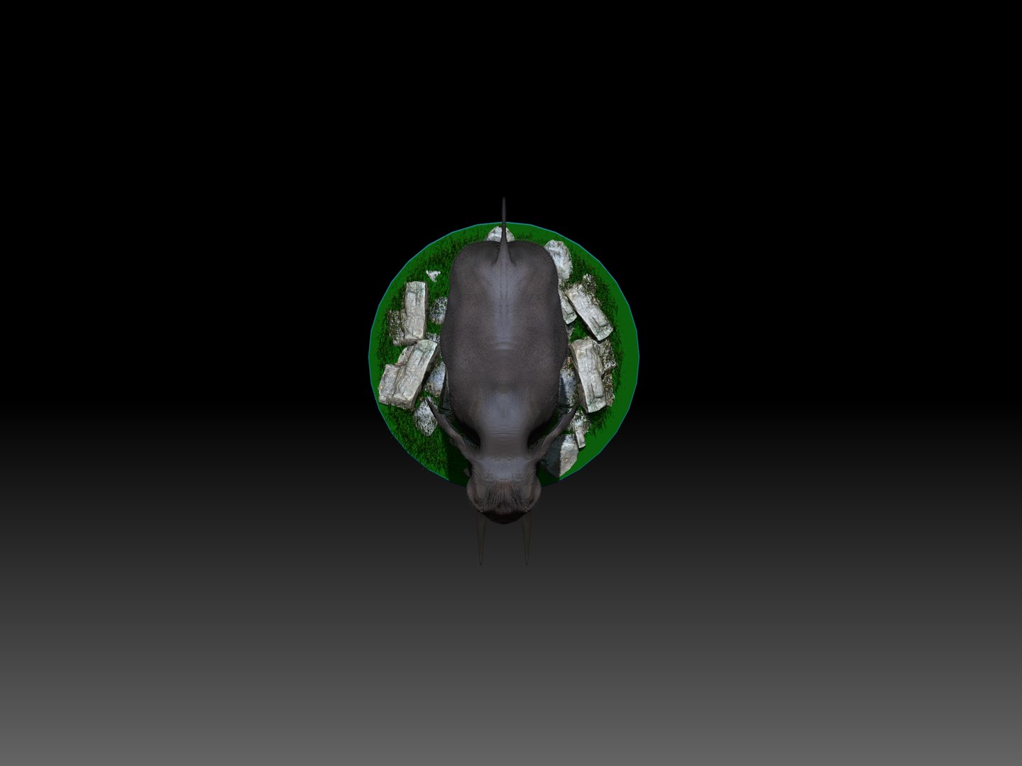 3D elephant rig - TurboSquid 1298964