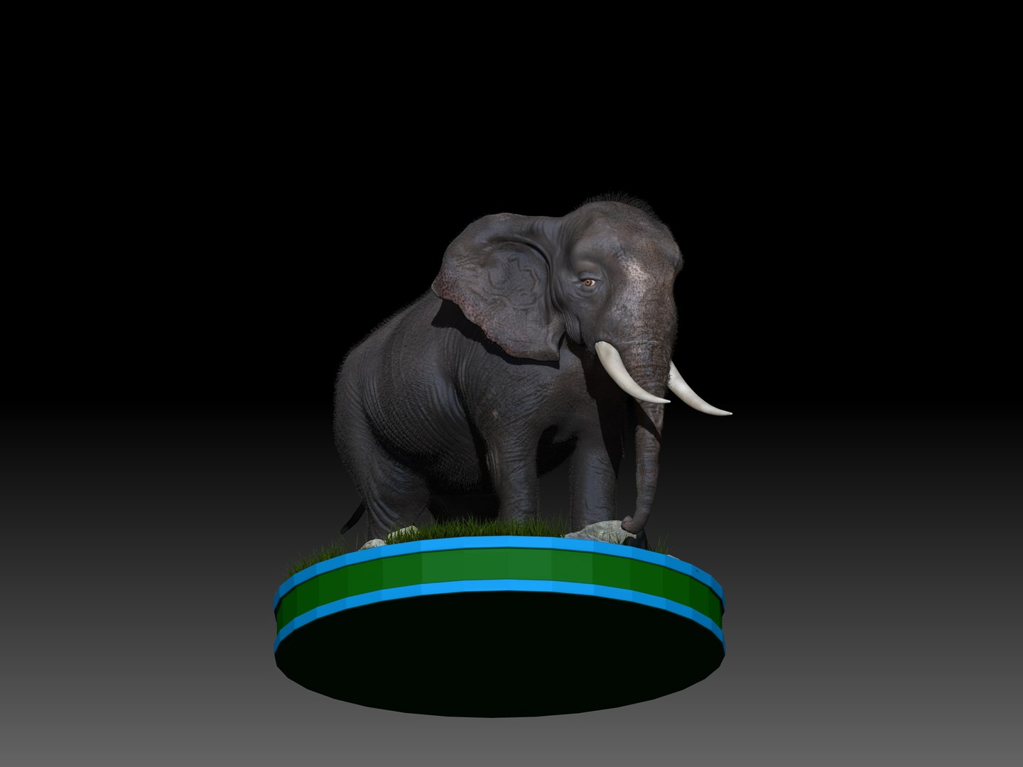 3D Elephant Rig - TurboSquid 1298964