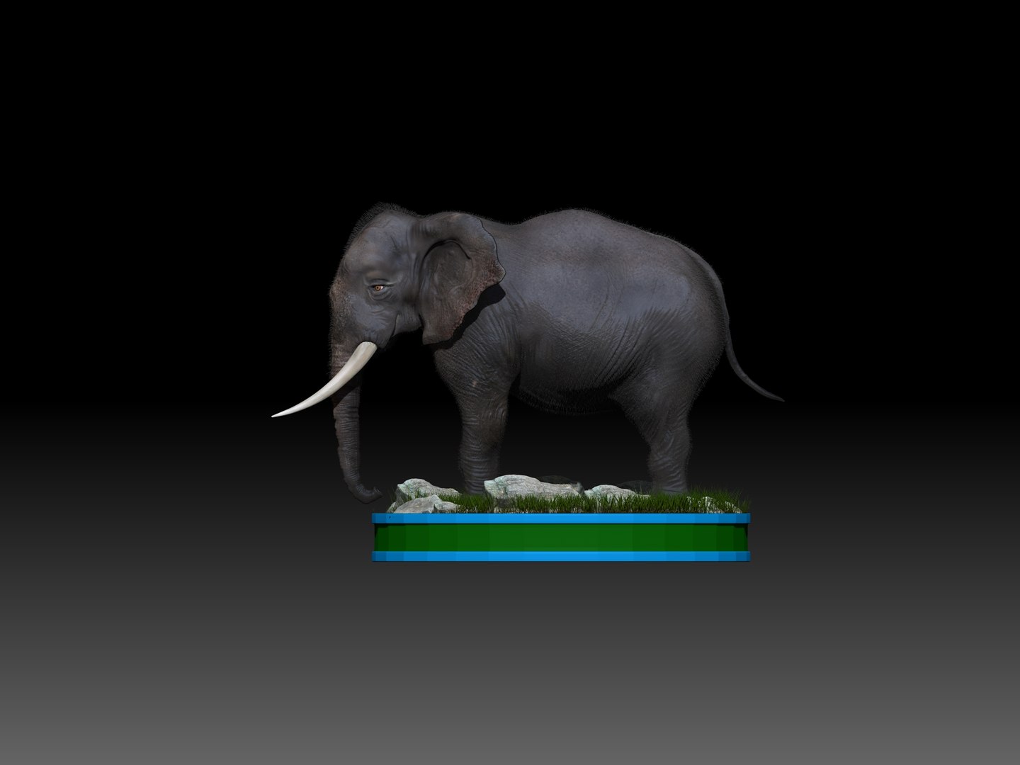 3D Elephant Rig - TurboSquid 1298964
