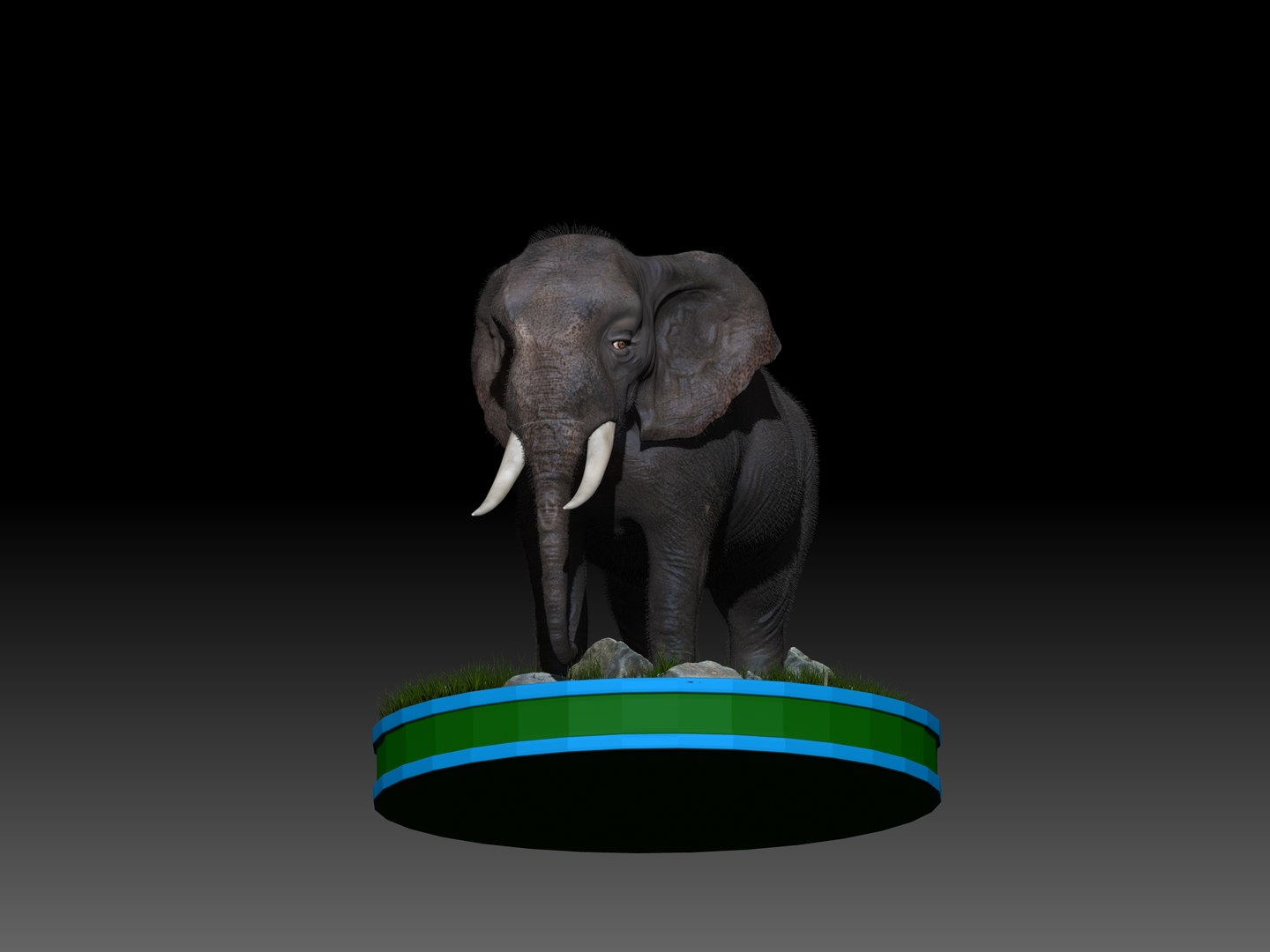 3D Elephant Rig - TurboSquid 1298964