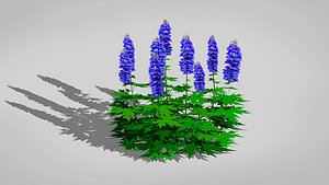 Delphinium 3D model