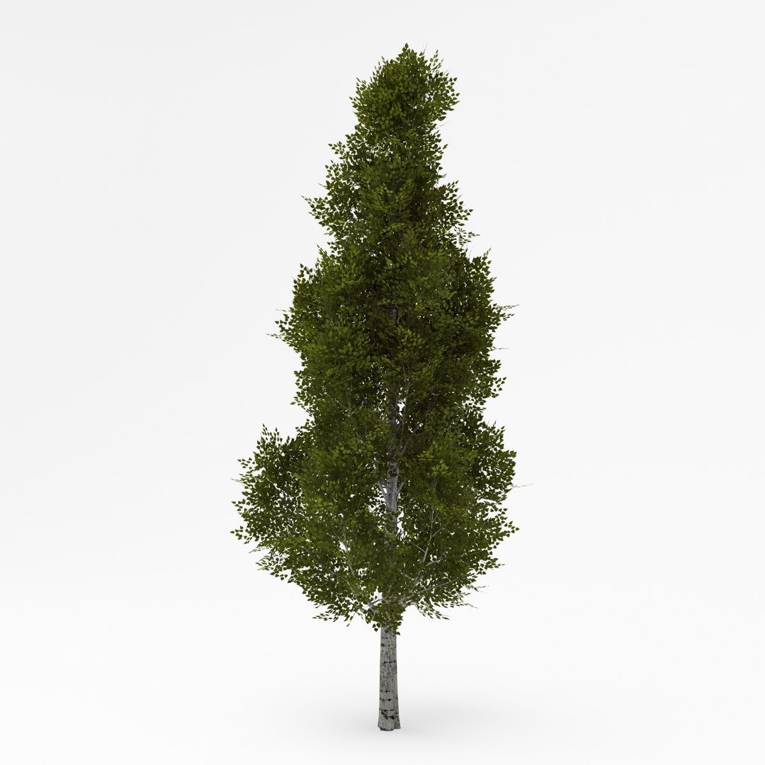 3d deciduous 018 model https://p.turbosquid.com/ts-thumb/BC/ELWd0R/Bx0nyWhZ/03/jpg/1408695563/1920x1080/fit_q87/9b82a6b9d9df77c6c970a734f8b21946bc6534be/03.jpg