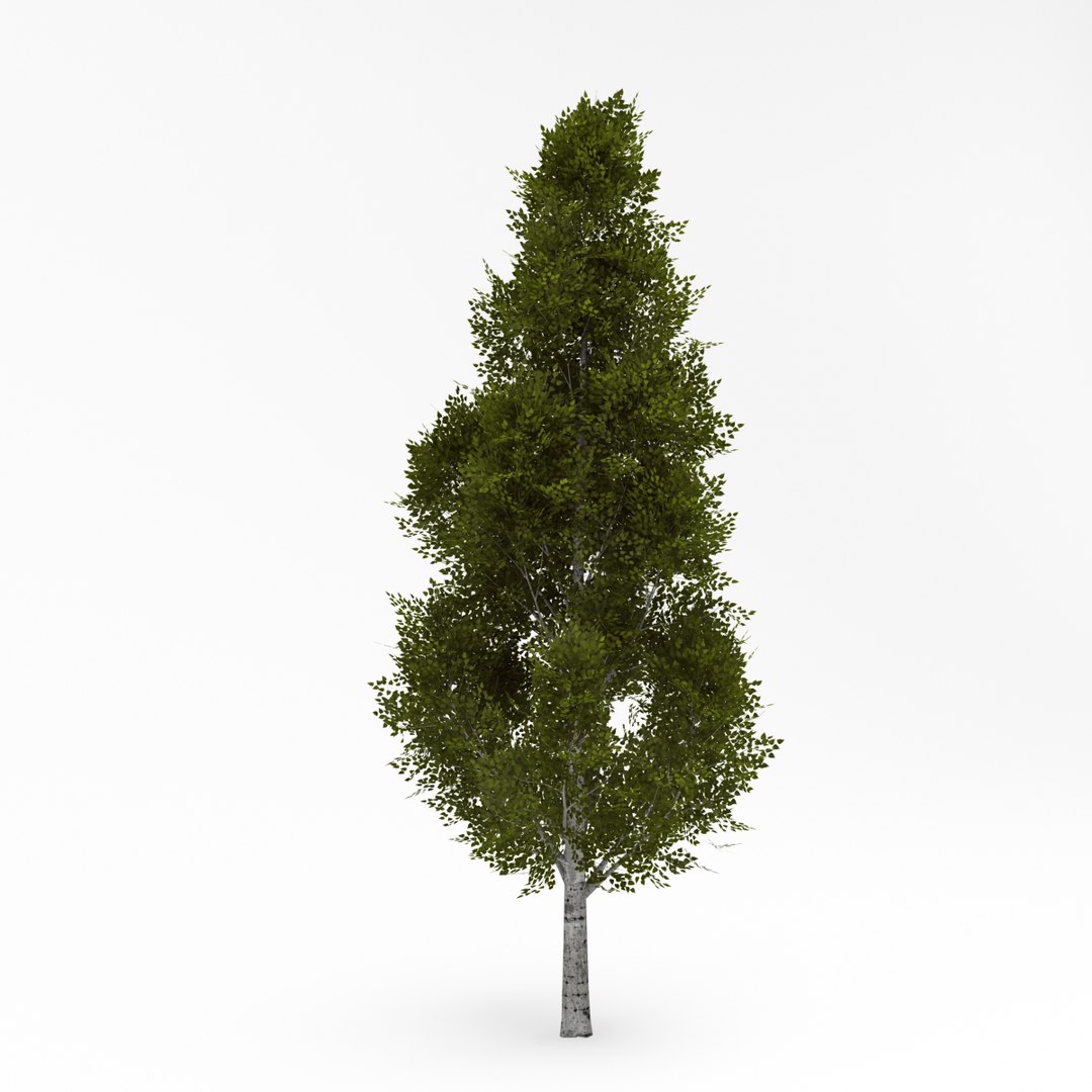 3d deciduous 018 model https://p.turbosquid.com/ts-thumb/BC/ELWd0R/hEXE7bq1/02/jpg/1408695563/1920x1080/fit_q87/664c5367b3a08650637e8ca287fbf4e3b27ccd25/02.jpg