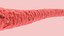 Blood Vessel model