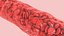 Blood Vessel model