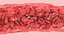 Blood Vessel model