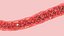 Blood Vessel model