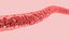 Blood Vessel model