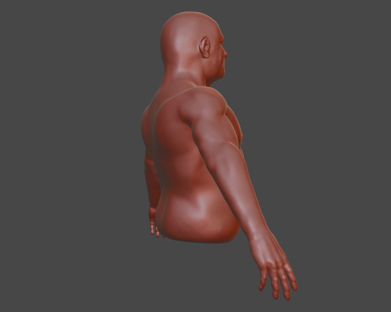 3D Male Torso Base Mesh - TurboSquid 1544760