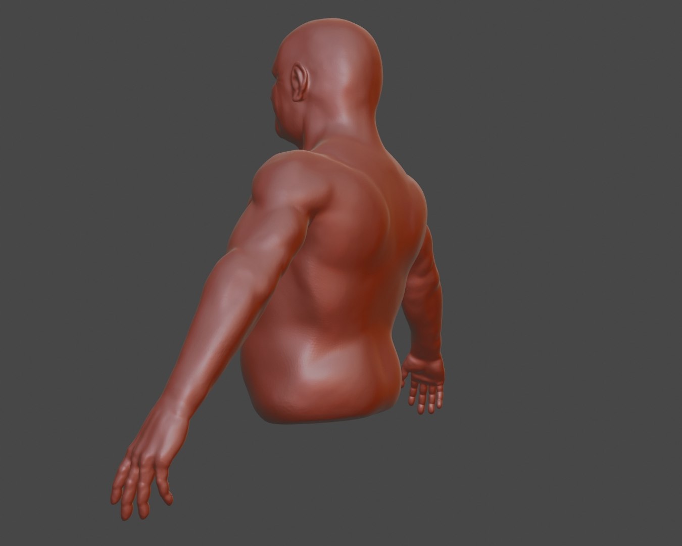 3D Male Torso Base Mesh - TurboSquid 1544760