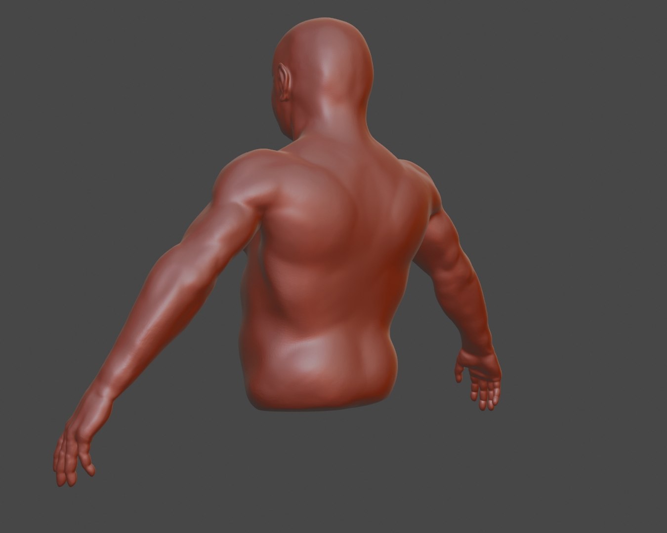 3D Male Torso Base Mesh - TurboSquid 1544760