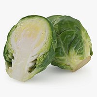 Brussels Sprouts 2