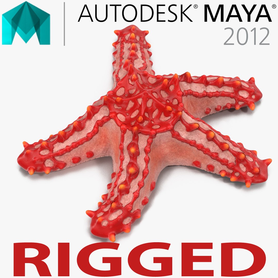 Red Knobbed Starfish Rigged for Maya 3D Model 3D model preview