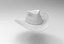 Cowboy Hat