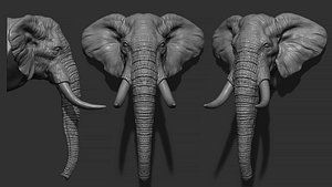 Elephant head with tusks 3D model