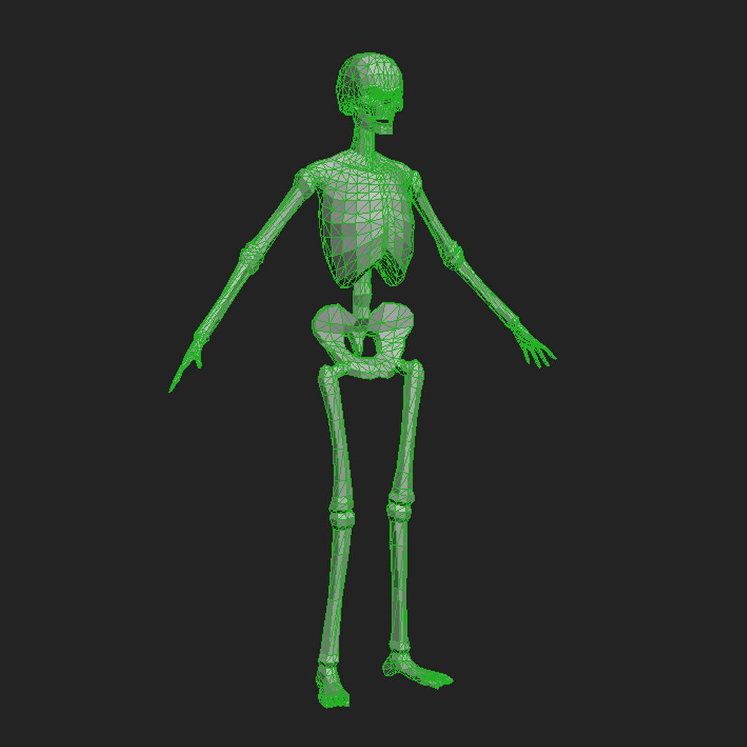 max skeleton