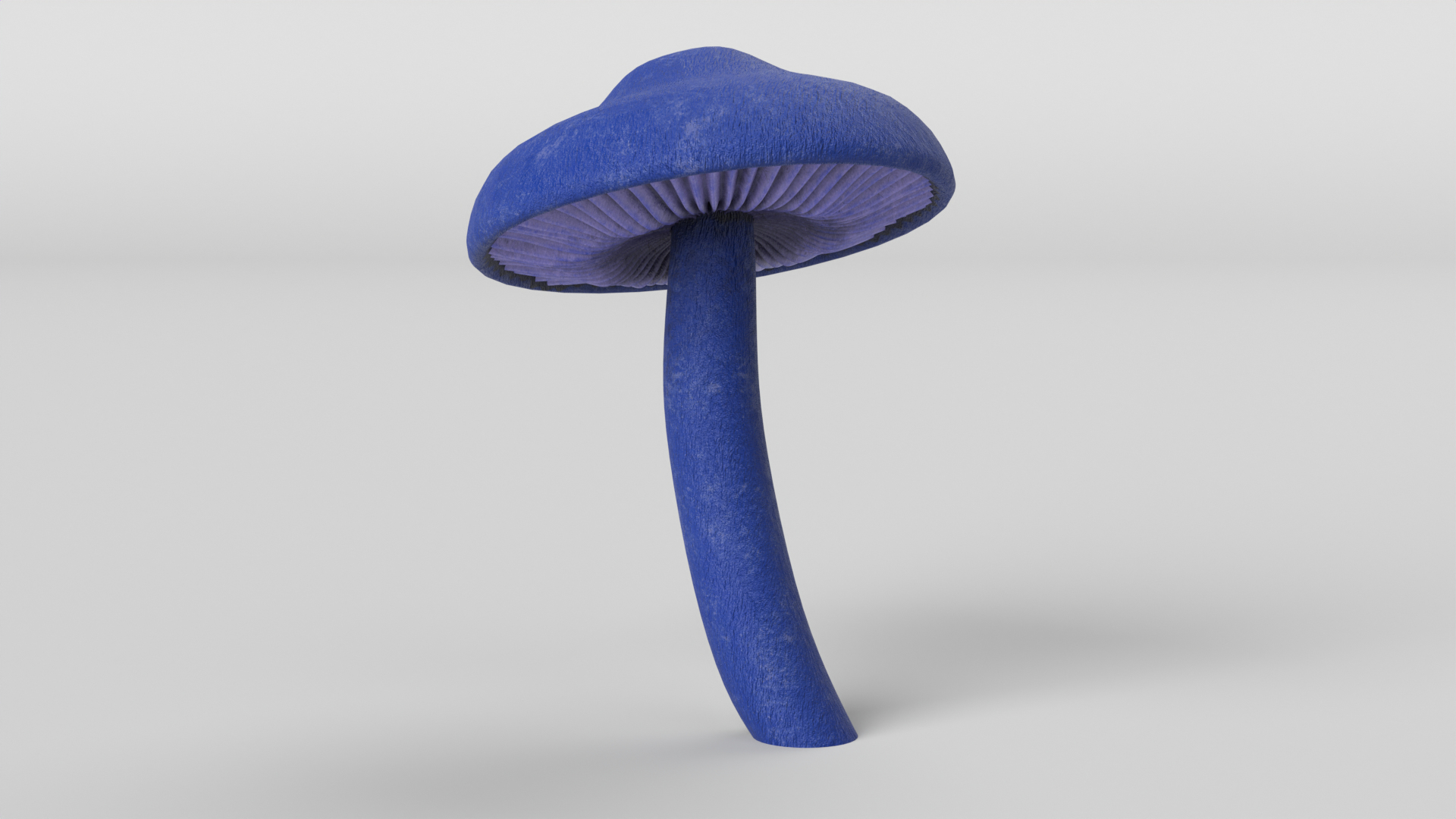 3D Mushroom Set 2 https://p.turbosquid.com/ts-thumb/BD/5GoxKT/TM/leptonia_carnea_mushroom_images/png/1698509913/1920x1080/turn_fit_q99/865050304746b85e73981740ed50bef52e146595/leptonia_carnea_mushroom_images-1.jpg