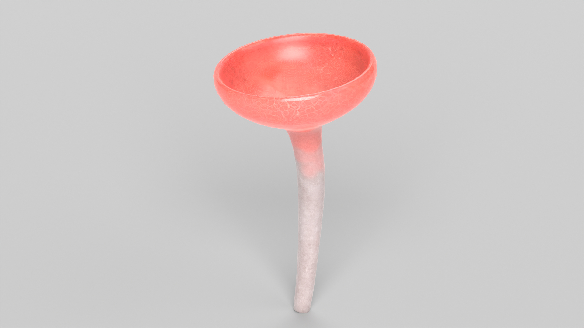 3D Mushroom Set 2 https://p.turbosquid.com/ts-thumb/BD/5GoxKT/Ul/cookeinaspeciosaimages/png/1698505063/1920x1080/turn_fit_q99/1a94d20c43618659b01efae1799b67810919c981/cookeinaspeciosaimages-1.jpg