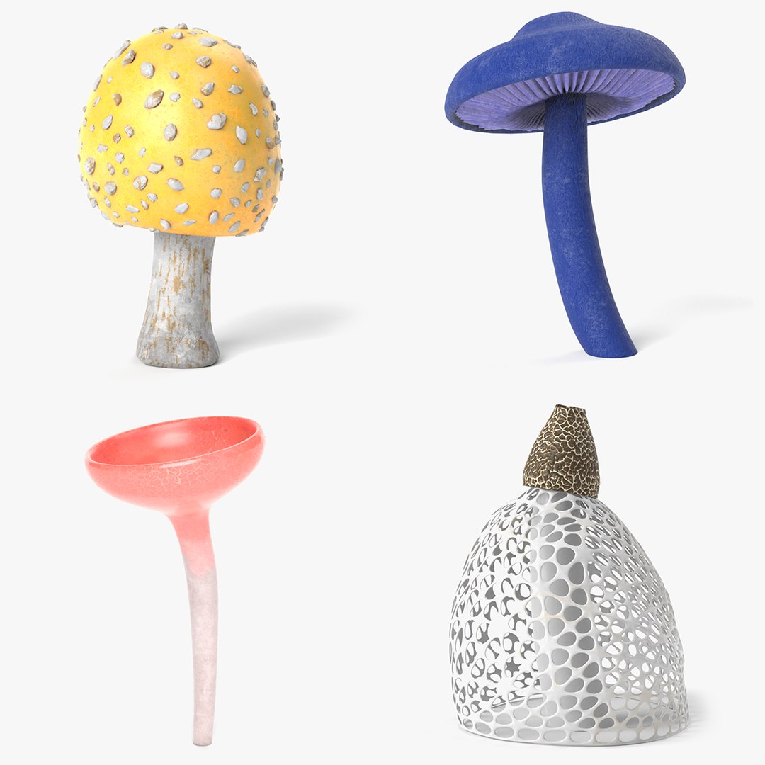 3D Mushroom Set 2 https://p.turbosquid.com/ts-thumb/BD/5GoxKT/kp/mushroom_set_2_thumbnail/png/1699803989/1920x1080/fit_q87/d1f997b3733f02be31401bba1a434866b9068efe/mushroom_set_2_thumbnail.jpg