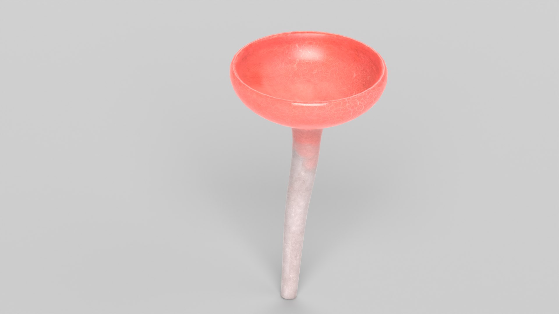 3D Mushroom Set 2 https://p.turbosquid.com/ts-thumb/BD/5GoxKT/qU/cookeinaspeciosaimages0003/png/1698505059/1920x1080/fit_q87/fa9e87258ac1f8a3c94e4f7cd761f4b07cc95205/cookeinaspeciosaimages0003.jpg