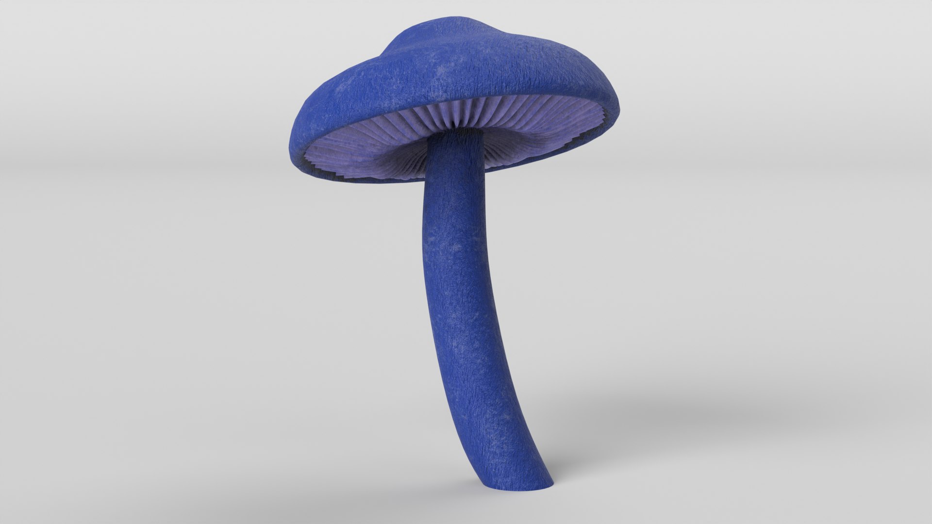3D Mushroom Set 2 https://p.turbosquid.com/ts-thumb/BD/5GoxKT/yh/leptonia_carnea_mushroom_thumbnail_colored/png/1698509903/1920x1080/fit_q87/8f6ba5f310e18788f90d3a85fb529c2fc342e802/leptonia_carnea_mushroom_thumbnail_colored.jpg