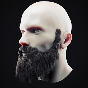 3D beard 10 model