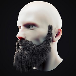 Beard Low Poly 10