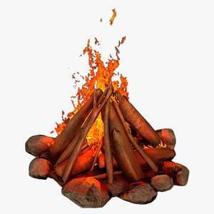 3D campfire camp