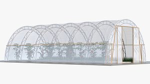 Vegetables Greenhouse Tent with Gardener