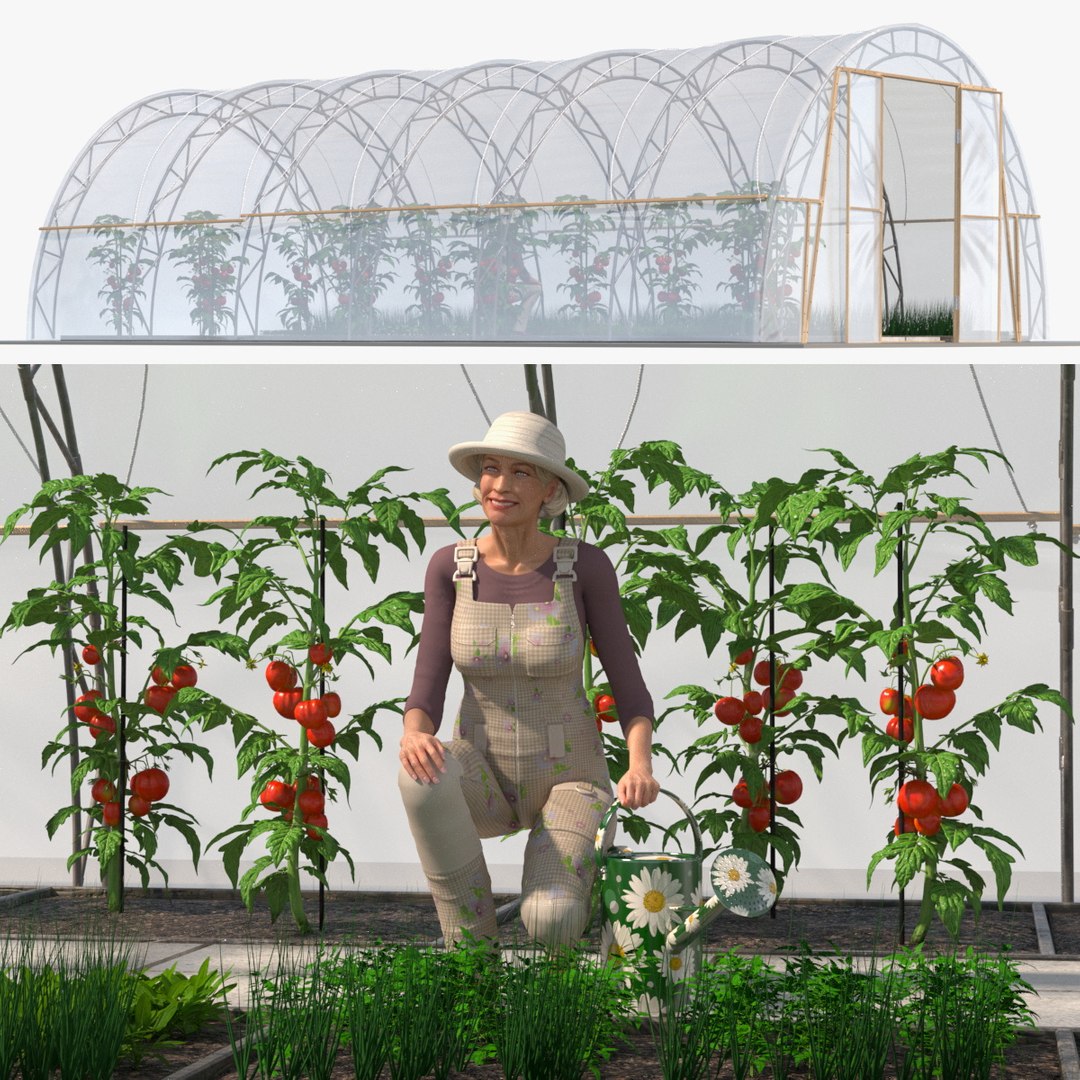 3D Vegetables Greenhouse Tent with Gardener model https://p.turbosquid.com/ts-thumb/BD/P0qfAd/zj/vegetables_greenhouse_tent_with_gardener_001/jpg/1737921903/1920x1080/fit_q87/c8739f212d7aba4c79a35147e5ca9c0cd4abfed5/vegetables_greenhouse_tent_with_gardener_001.jpg