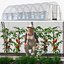 野菜温室テントと庭師
