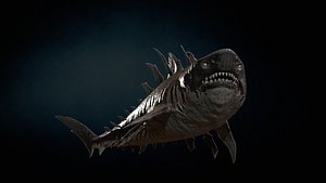 Shark4 3D model