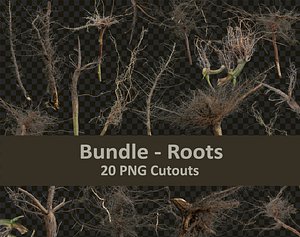 PNG Photo Pack- Roots