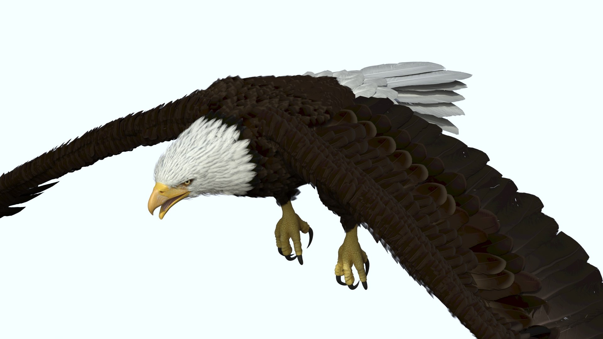 Realistic Flying Bald Eagle 3D model preview