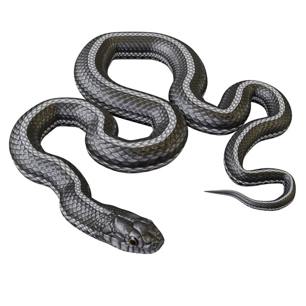 134 Serpente 3D - Serpente Renderizações 3D - Envato Elements