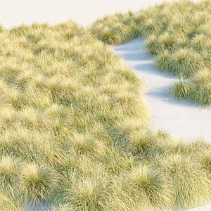 Maiden Grass Collection Vol 312