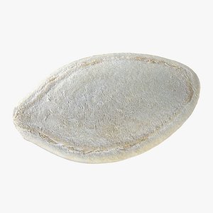 Pumpkin Seed 02 3D