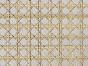 Mesh Cane Webbing
