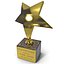 Star Trophy
